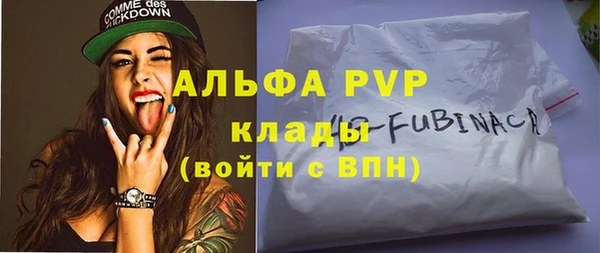 твердый Абаза