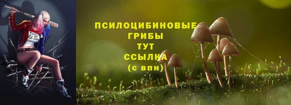 твердый Абаза