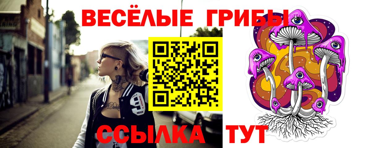 как найти закладки  Псилоцибиновые грибы прущие грибы  Вход с VPN  Галлюциногенные грибы мицелий  Рассказово 